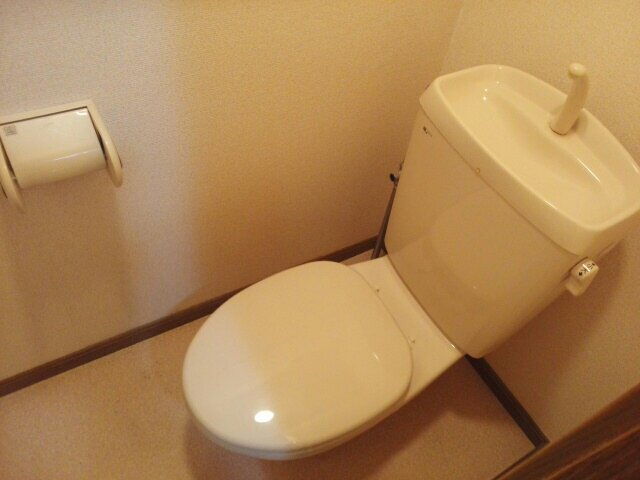 ドルフィン２１