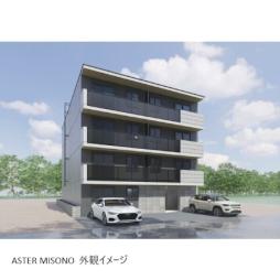 ＡＳＴＥＲ　ＭＩＳＯＮＯ（アステール　ミソノ）