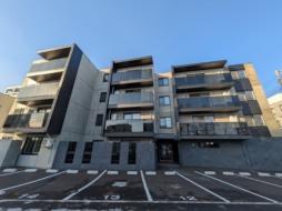 ヴォヤージュ菊水