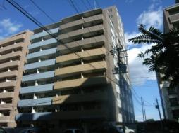 ビッグパレス中島公園