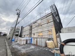 ネコフィーノ・キキ