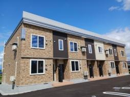 ドリームズ ワイズ