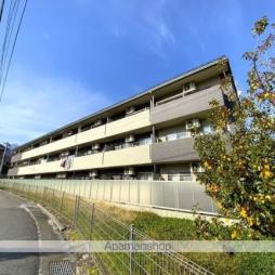 Ｋｏｍａｇａｎｅ　ＦＩＶＥ
