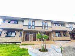 Ｓｔｏｎｅ　Ｈｉｌｌｓ（ストーンヒルズ）　Ｙ