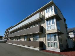 モンテ・フジＳ