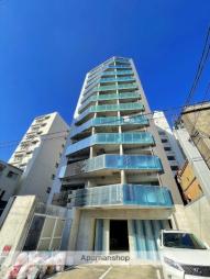 The Glasses (ザ・グラッシーズ)