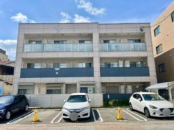 ビスカリア猫洞