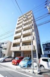 Ａｒｉｅｔｔａ　Ｓｈｉｎｔｏｒｉ