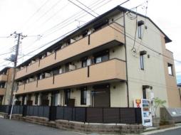 サウザンドサニー　ＥＡＳＴ