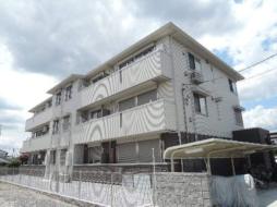 ソレイユ・ドミュール