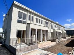 マリーゴールド