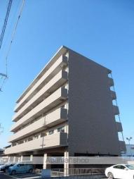 サニーヒルズ大福