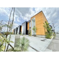 ａｌｂｅｒｏ若林