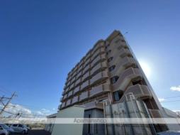 エクセレンシィ