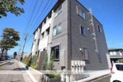 フィーゴ　菜根