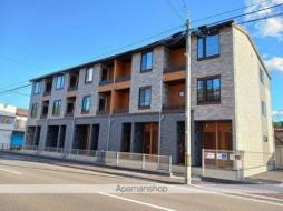 ツイン　パイン　シティ