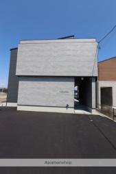 Ｌａｐｉｓ　Ｃｏｒａｌ