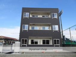 ＣＨＥＬＳＥＡ