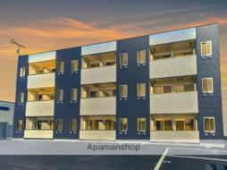 ＲＥＩ　ＧＲＡＮ　ＦＩＲＳＴ