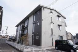 パンプル　ムース