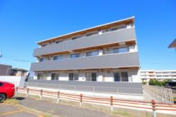 ｃａｔｍｉｎｔ（キャットミント）