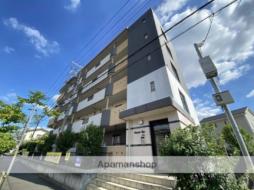 プレイズ　レイ