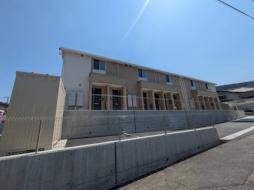 パームコート尾長