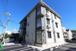 カーサベルデ　国府