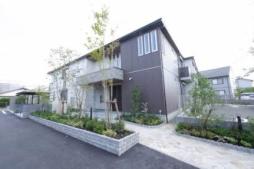 エヌ・ステータス国府