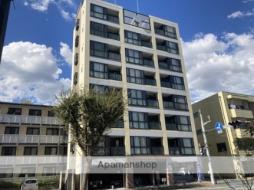 Ｖｅｎｕｓ　ｃｏｕｒｔ