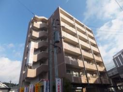 ピュアライフＳＡＫＵＲＡ