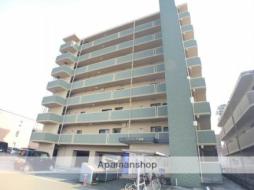 アマランツ菊陽