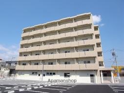 プラトゥー光の森