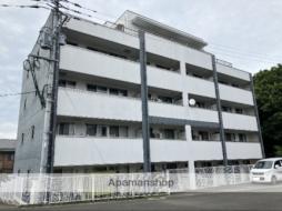 チェリーブロッサムIII