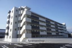 エストラーダ天道