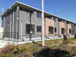 セレノカーサＯＭＩ　VI