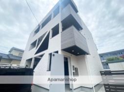 ブレイブ　ブロッサム