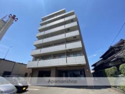 アマルフィいずみ