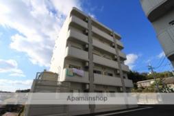 トレステーラ　プランドールIII