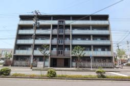 Ｄｉｍｏｒａｒｅ