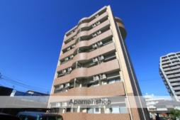 トレステーラシャングリラ