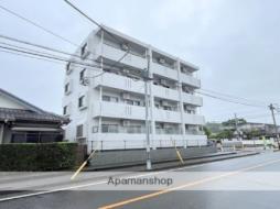 ＳＥＲＥＮＤＩＢ・Ｙ（セレンディブ・Ｙ）