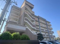 サン・プラシード