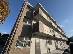 Ｓｕｎｆｌｏｗｅｒ　Ｍａｐｌｅ　平松