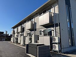 TenINOTSUME(テンイノツメ）