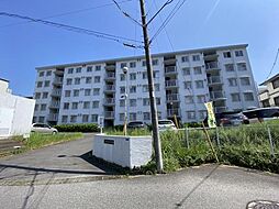 パイロットハウス柏