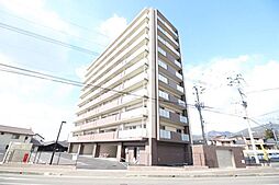 パルデンス・エコノ10