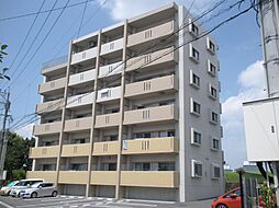 Sky Design3