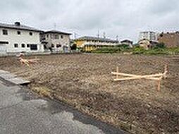 プライムローズ