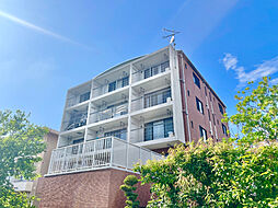 ライトクロト半田